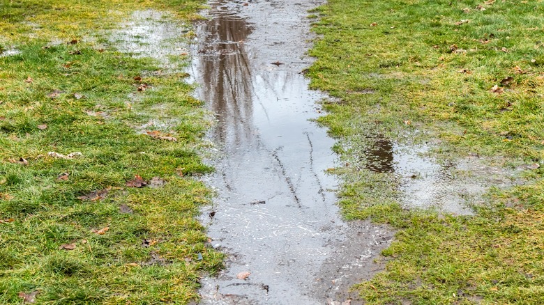 water standing on lawn