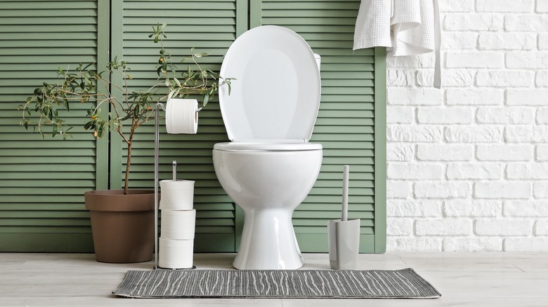 bathroom with toilet paper holder