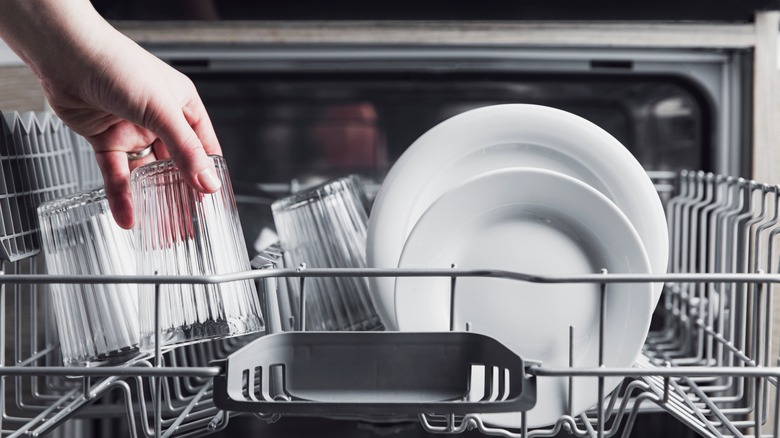 Loading white dishes into dishwasher