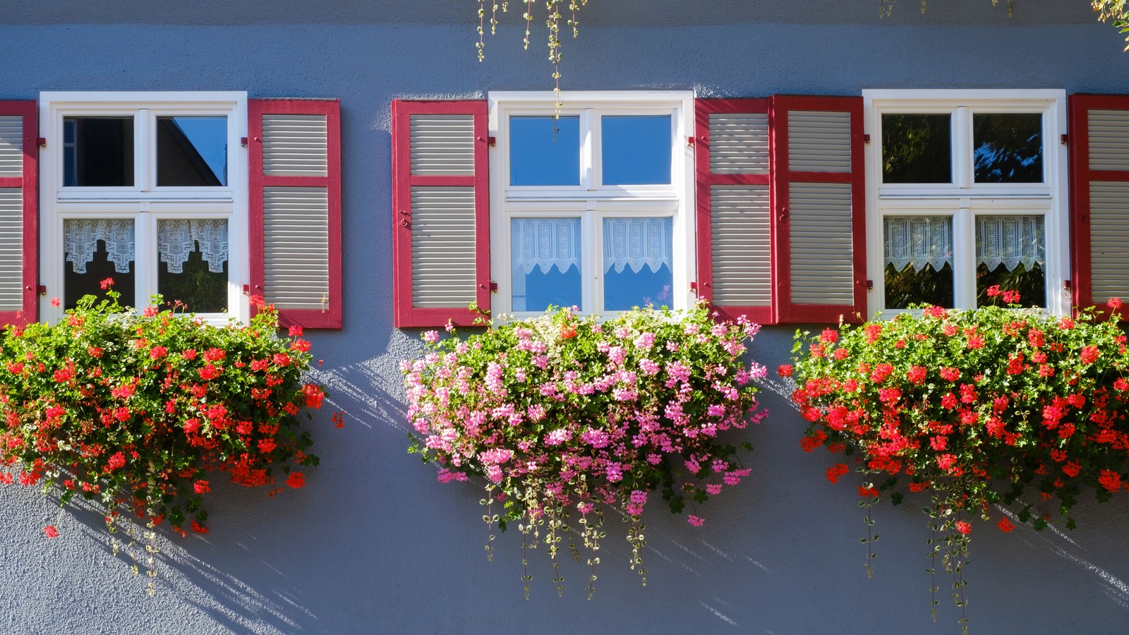 TikTok's Beautiful DIY Flower Boxes Will Add Sleek Color To Your Windows