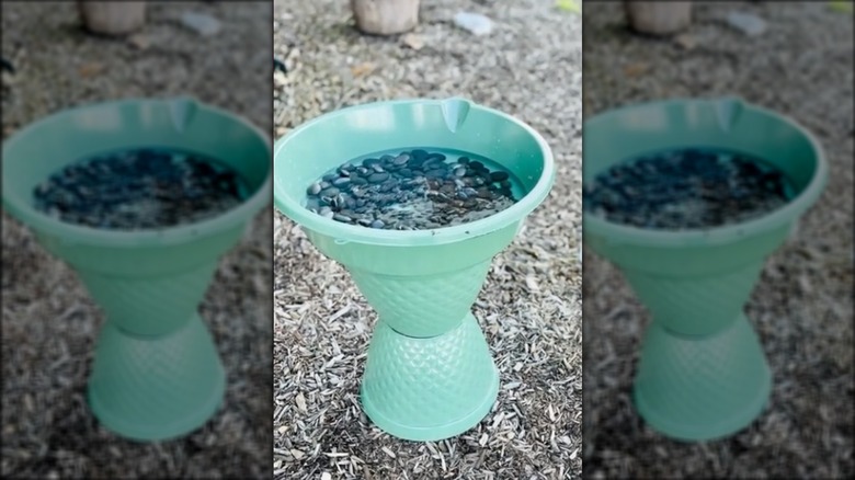 planter bird bath