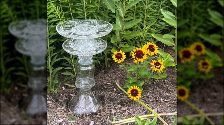 clear glass bird bath