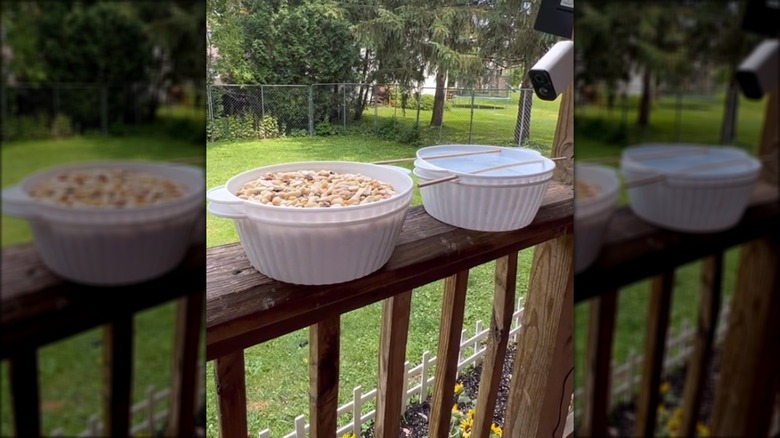 mixing bowl bird bath