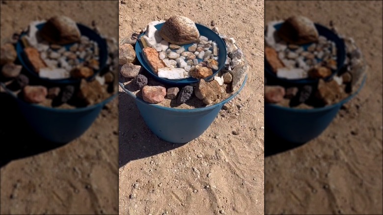 planter bird bath