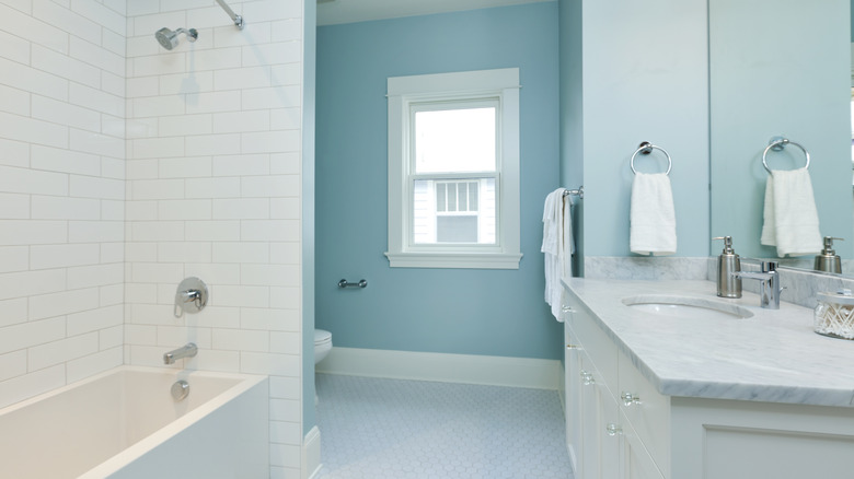 plain blue bathroom no decor