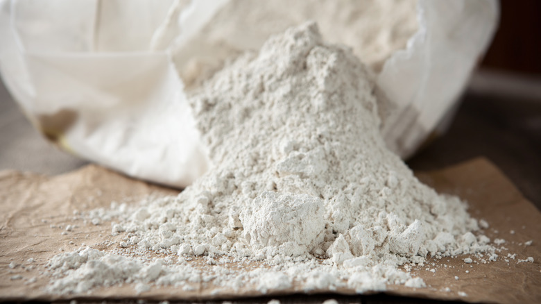 Bag of diatomaceous earth