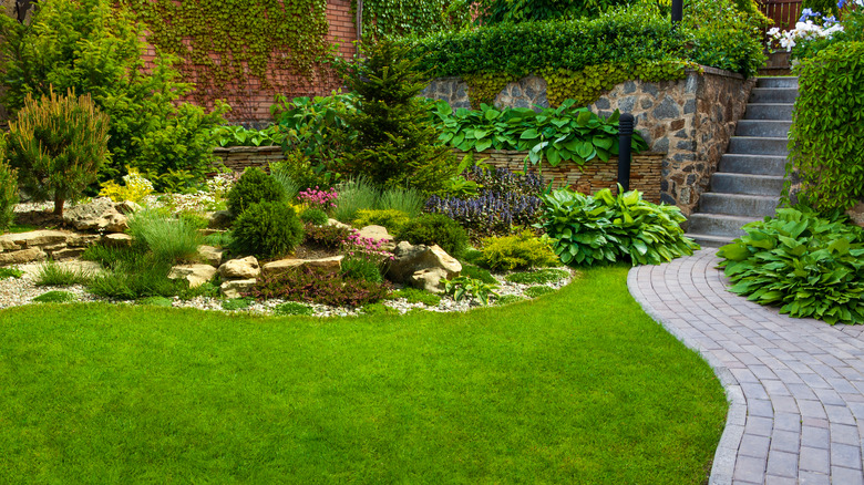 Landscaped garden area