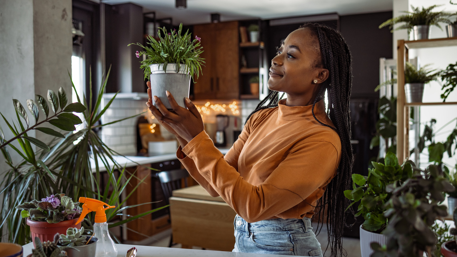 TikTok's Lighting Hack Has Plant Lovers So Pumped