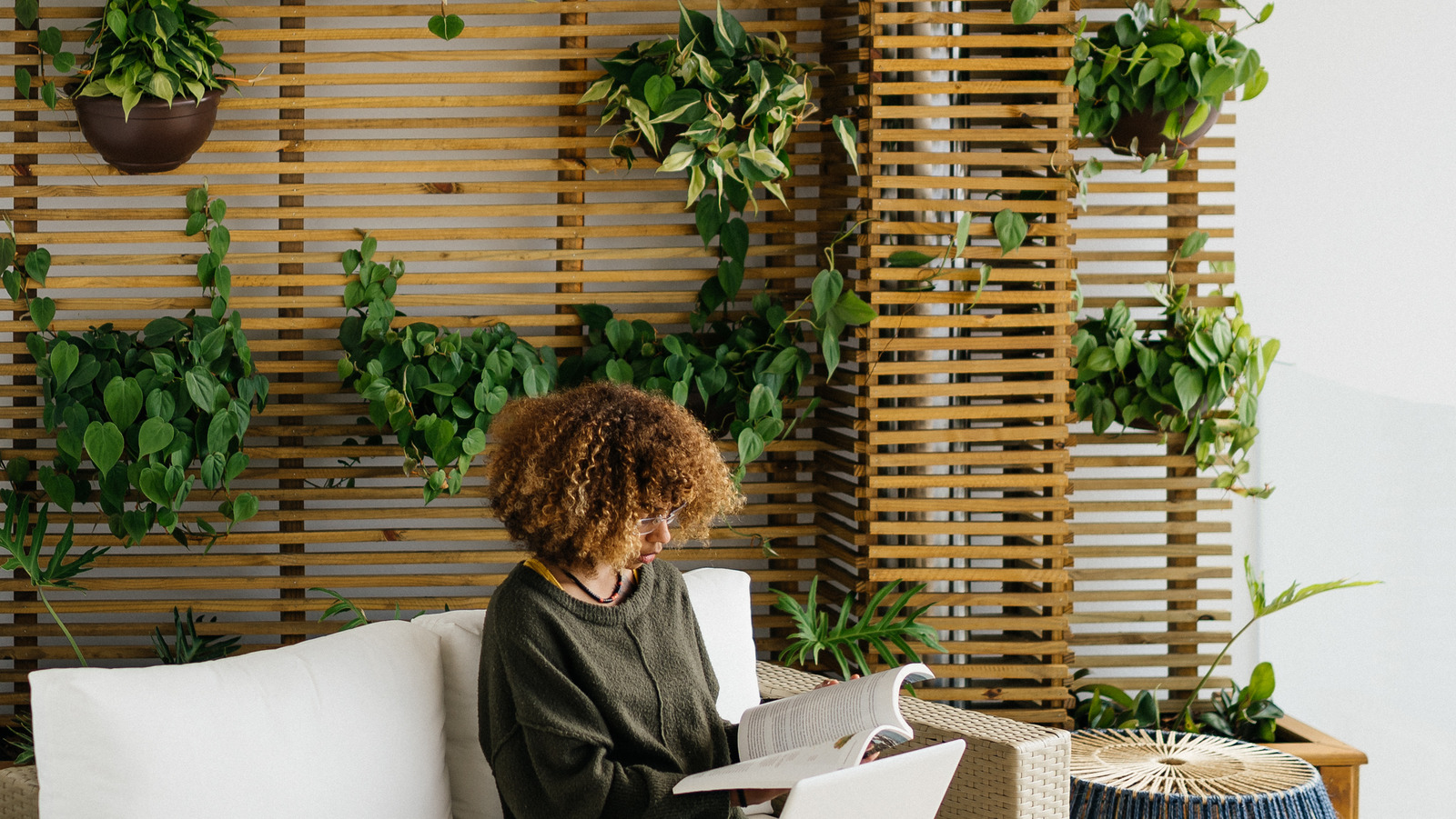 TikTok's Plant Gallery Wall Is Just What You Need To Add Charm To Any Space