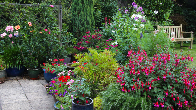 Home garden with flowers