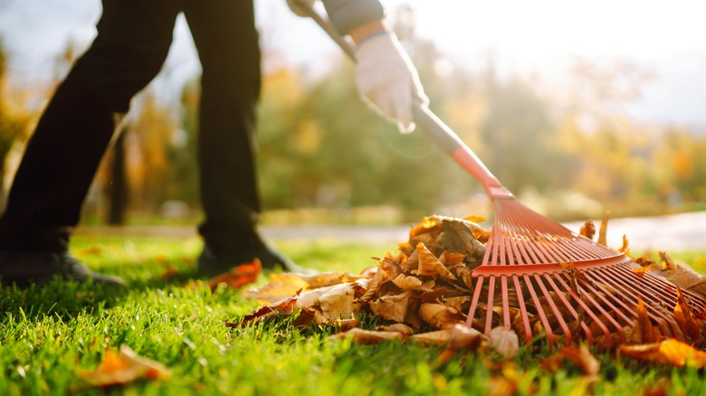 Person raking leaves with gloves