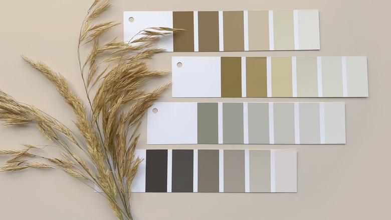 pampas grass and greige color swatches