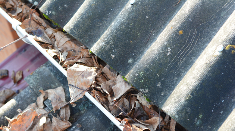 leaves and sticks in gutter