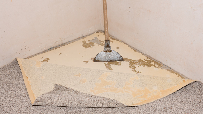 Carpet being removed from floor