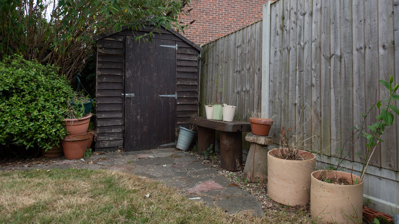 A closed shed in a backyard