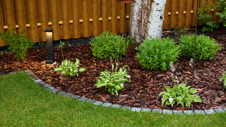 A wood fence next to landscaping filled with mulch