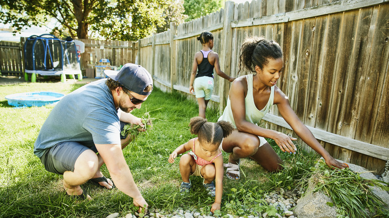 Family picking weeds near the fence