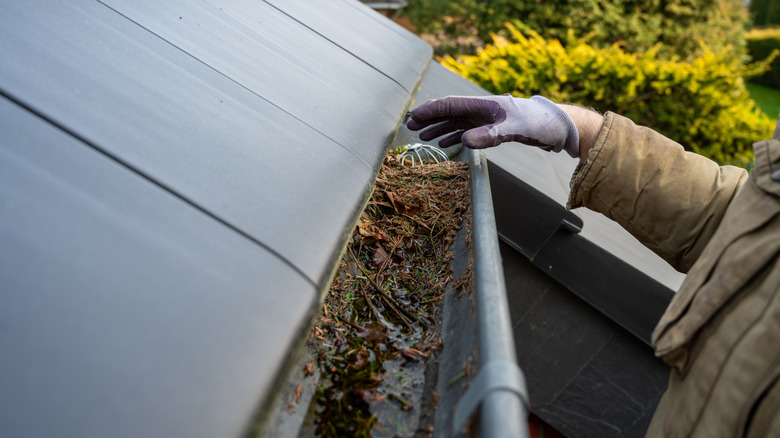 A person wearing rubber gloves cleaning debris from gutter