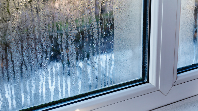 Condensation on a window