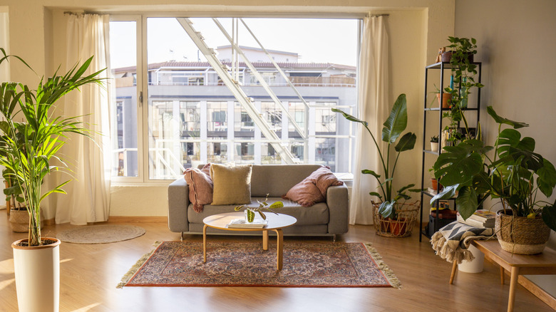 A living room with lots of plants