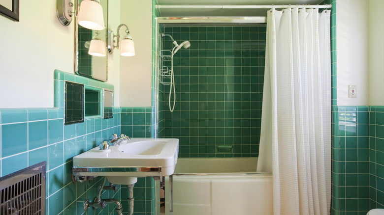 Bathroom with shower curtain