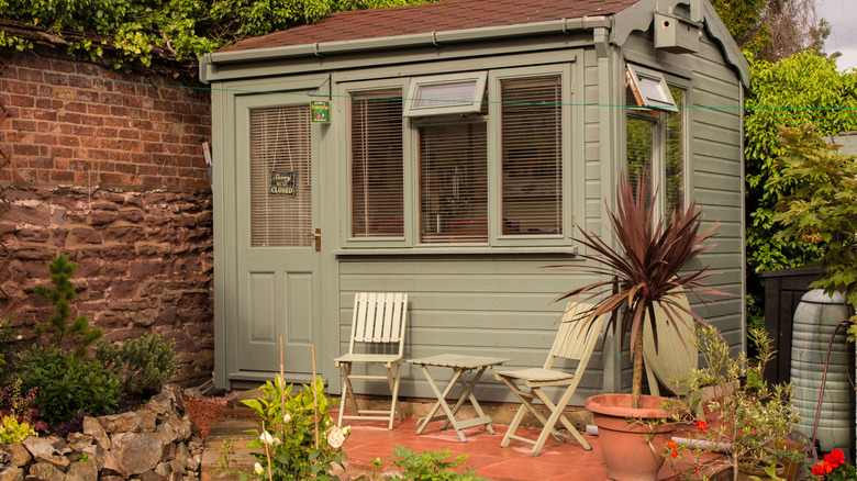 Green backyard shed with windows