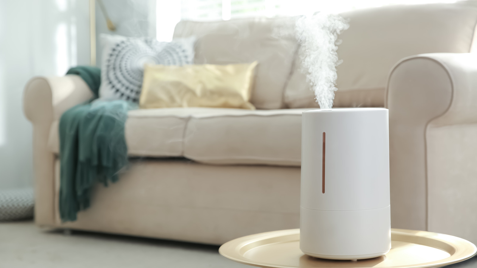 Tips for finding the perfect spot for your humidifier