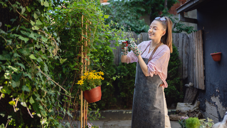 woman pruning climbing roses