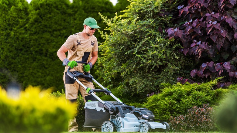 man mowing lawn