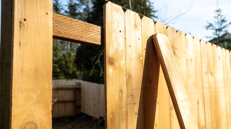 cedar wood fence with missing board and a picket leaning against it