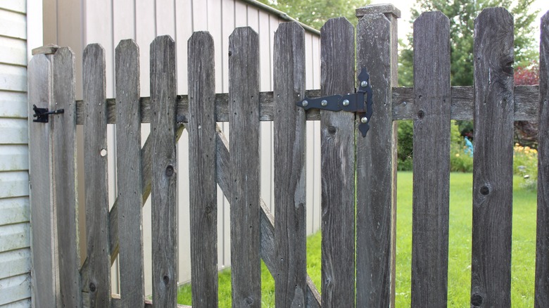 cedar fence posts weathered to gray color