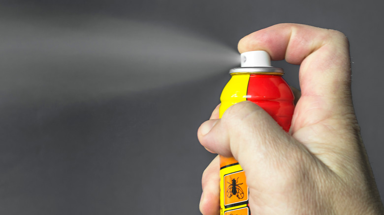 hand spraying bug spray