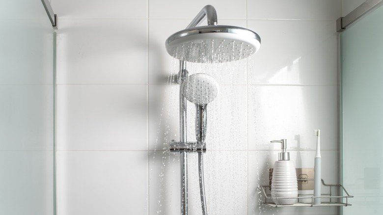 Showerhead with storage shelf