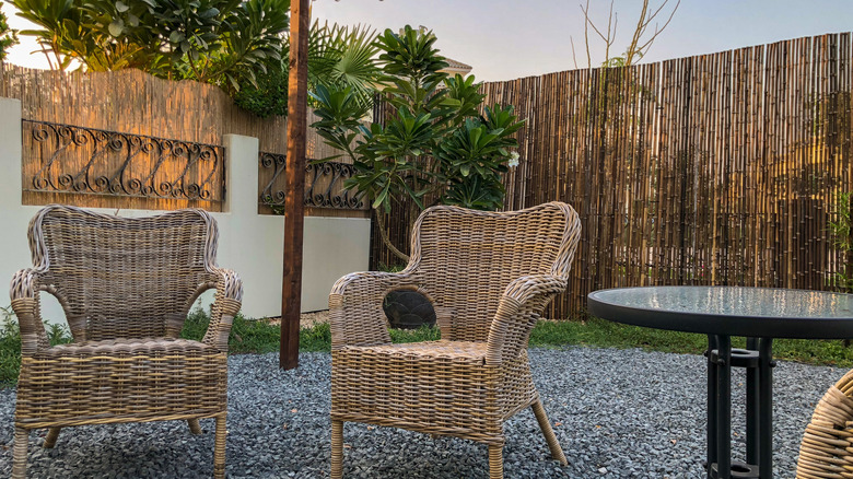 patio chairs in bamboo fenced yard