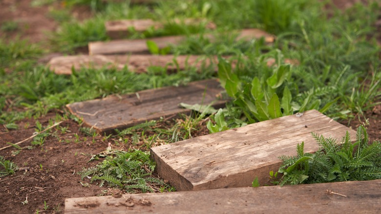 Temporary wooden path