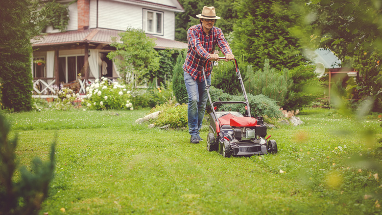 Person mowing their lawn