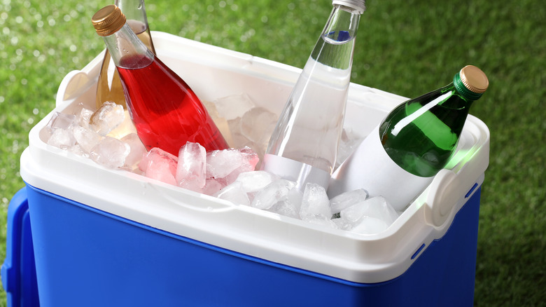 blue cooler with drinks