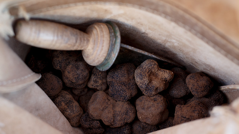 bag full of truffles