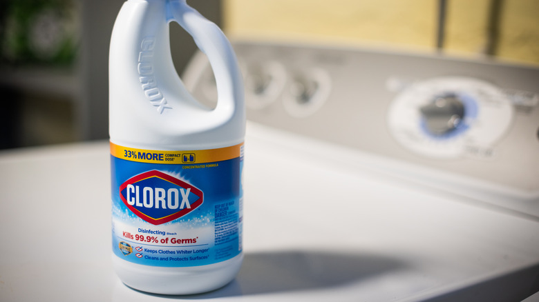 Bottle of Clorox bleach