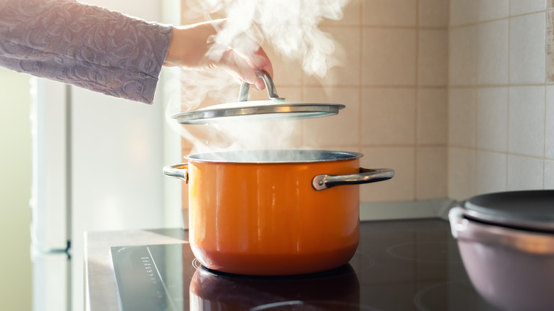 Woman lifting lid on boiling water