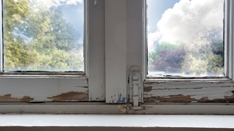 windows with wood rot