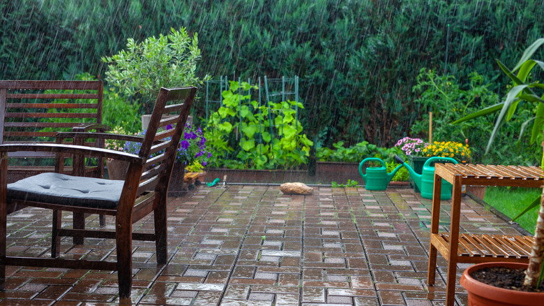 rainy garden