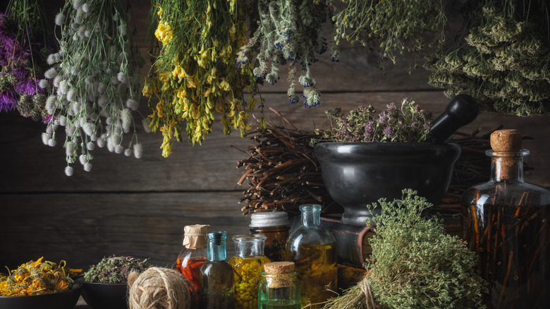 hanging herbs