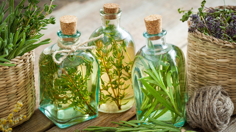 herbs in vinegar