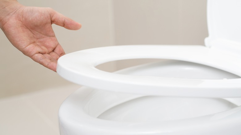 Hand lifting toilet seat