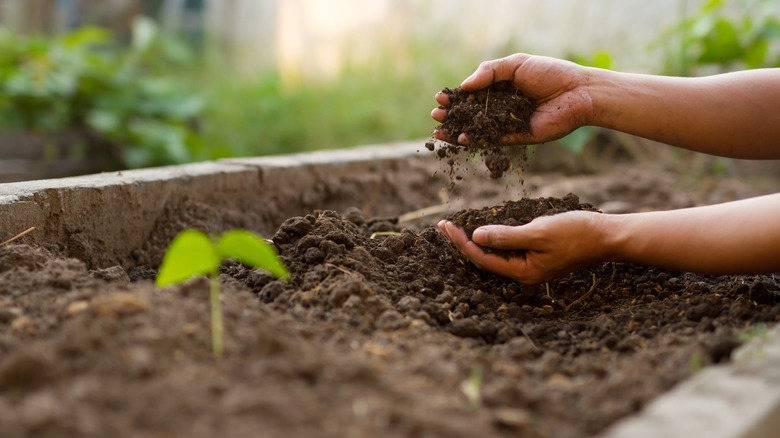 Person mixing soil