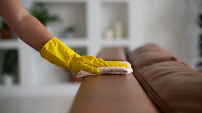 person cleaning leather sofa