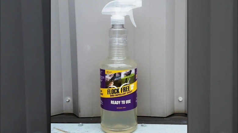 Flock Free Bird Repellent Ready to Use Spray