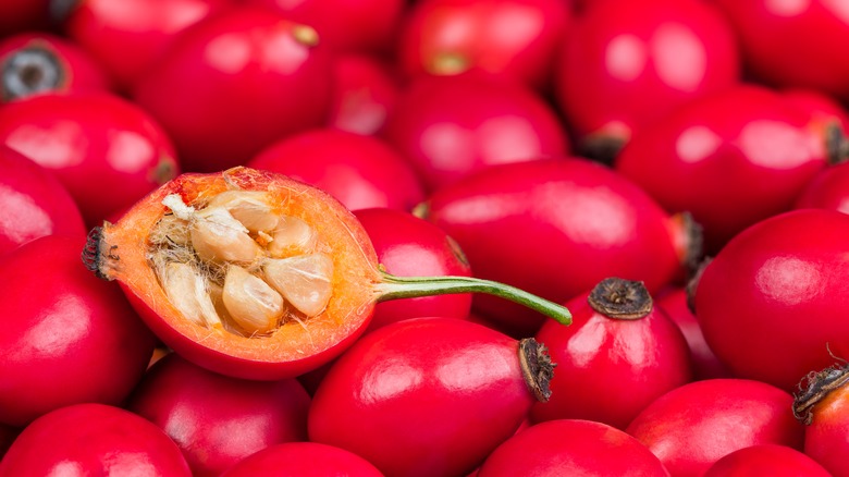 rose seeds inside rose hips