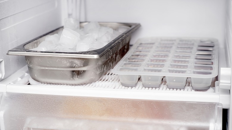 ice cubes in freezer